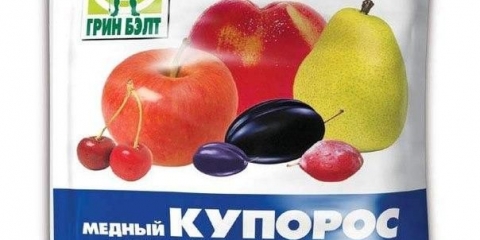 Kako tretirati grožđe bakrenim sulfatom u proljeće, ljeto i jesen